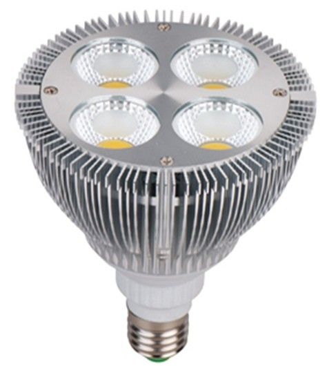 1600LM 16 watt LED Spot luces COB AC 220V, PAR30 E27 LED Spot Light